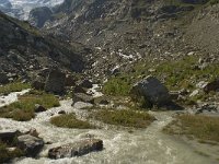 CH, Wallis, Saas Fee, Feegletscher 103, Saxifraga-Willem van Kruijsbergen